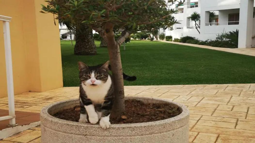 Casa En Urb. Con La Piscina Mas Grande De Javea. Екстериор снимка